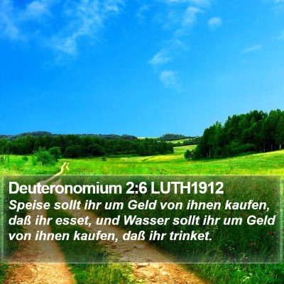 Deuteronomium 2:6 LUTH1912 Bible Verse Image