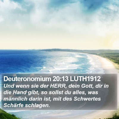 Deuteronomium 20:13 LUTH1912 Bible Verse Image