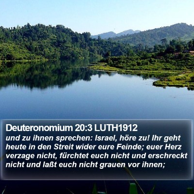 Deuteronomium 20:3 LUTH1912 Bible Verse Image