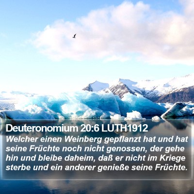 Deuteronomium 20:6 LUTH1912 Bible Verse Image
