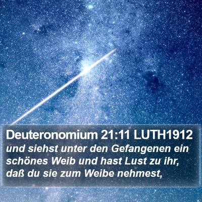 Deuteronomium 21:11 LUTH1912 Bible Verse Image