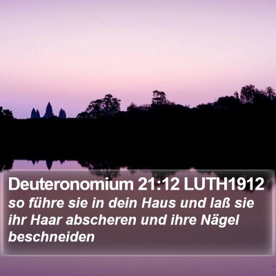 Deuteronomium 21:12 LUTH1912 Bible Verse Image