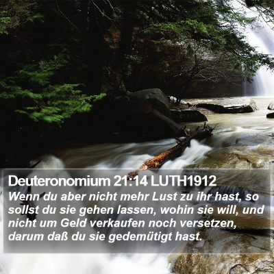 Deuteronomium 21:14 LUTH1912 Bible Verse Image