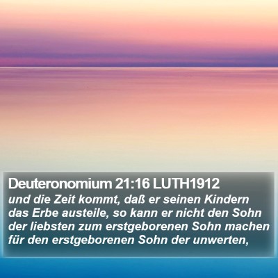 Deuteronomium 21:16 LUTH1912 Bible Verse Image