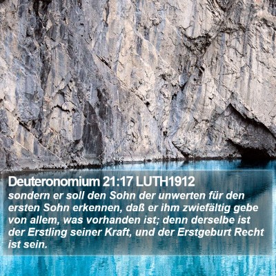Deuteronomium 21:17 LUTH1912 Bible Verse Image
