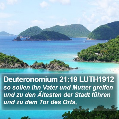Deuteronomium 21:19 LUTH1912 Bible Verse Image