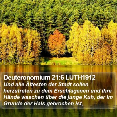 Deuteronomium 21:6 LUTH1912 Bible Verse Image
