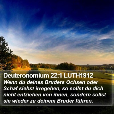 Deuteronomium 22:1 LUTH1912 Bible Verse Image