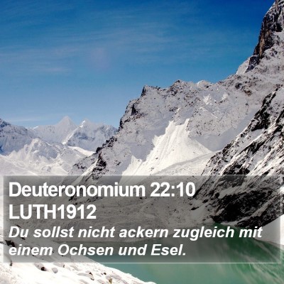 Deuteronomium 22:10 LUTH1912 Bible Verse Image