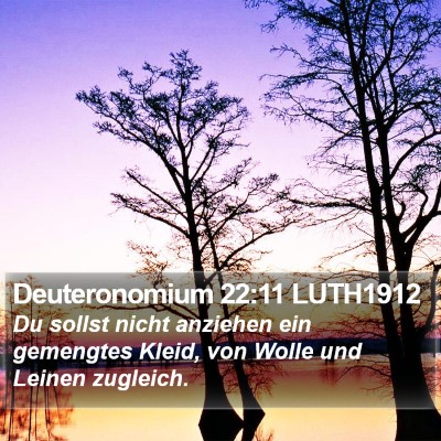 Deuteronomium 22:11 LUTH1912 Bible Verse Image