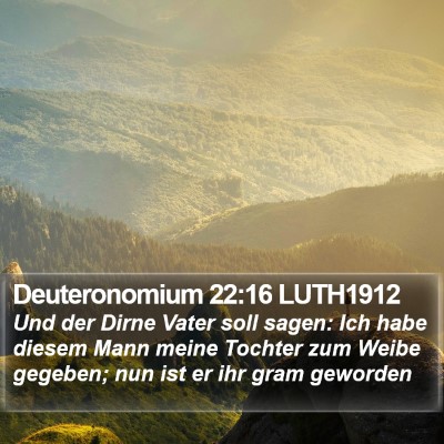 Deuteronomium 22:16 LUTH1912 Bible Verse Image