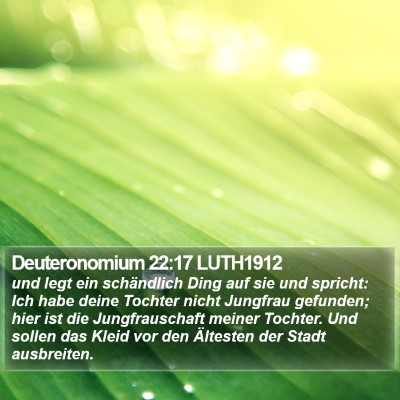 Deuteronomium 22:17 LUTH1912 Bible Verse Image