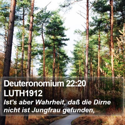 Deuteronomium 22:20 LUTH1912 Bible Verse Image