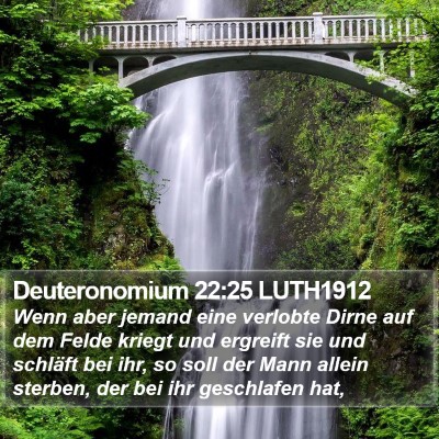 Deuteronomium 22:25 LUTH1912 Bible Verse Image