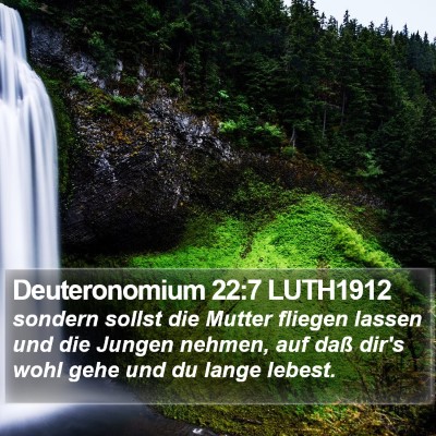 Deuteronomium 22:7 LUTH1912 Bible Verse Image