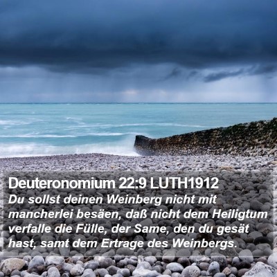 Deuteronomium 22:9 LUTH1912 Bible Verse Image