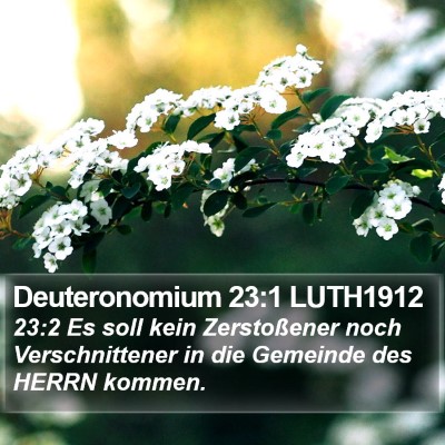 Deuteronomium 23:1 LUTH1912 Bible Verse Image