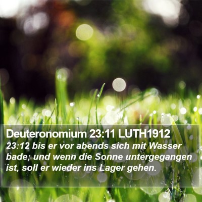 Deuteronomium 23:11 LUTH1912 Bible Verse Image