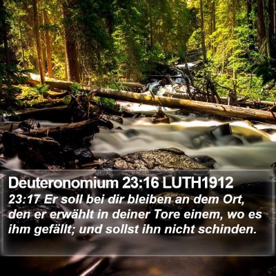 Deuteronomium 23:16 LUTH1912 Bible Verse Image