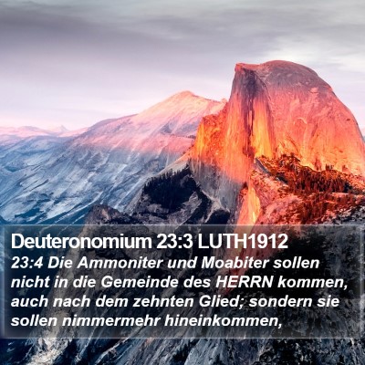 Deuteronomium 23:3 LUTH1912 Bible Verse Image