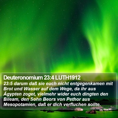 Deuteronomium 23:4 LUTH1912 Bible Verse Image