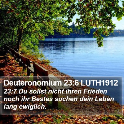 Deuteronomium 23:6 LUTH1912 Bible Verse Image