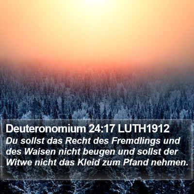 Deuteronomium 24:17 LUTH1912 Bible Verse Image