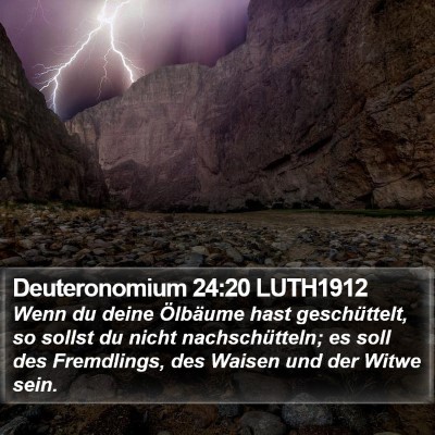 Deuteronomium 24:20 LUTH1912 Bible Verse Image