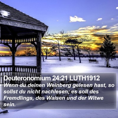 Deuteronomium 24:21 LUTH1912 Bible Verse Image