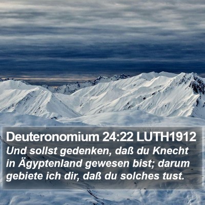 Deuteronomium 24:22 LUTH1912 Bible Verse Image