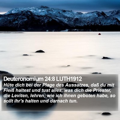 Deuteronomium 24:8 LUTH1912 Bible Verse Image