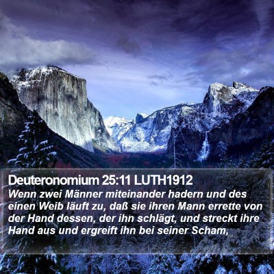 Deuteronomium 25:11 LUTH1912 Bible Verse Image
