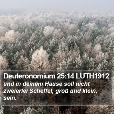 Deuteronomium 25:14 LUTH1912 Bible Verse Image