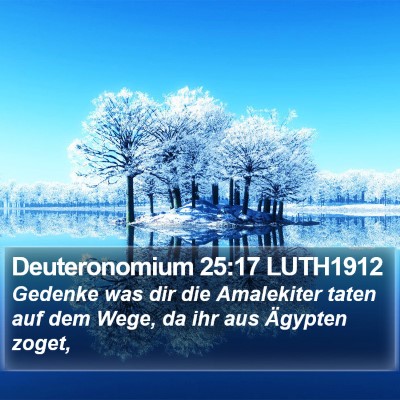 Deuteronomium 25:17 LUTH1912 Bible Verse Image