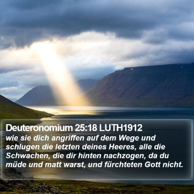 Deuteronomium 25:18 LUTH1912 Bible Verse Image