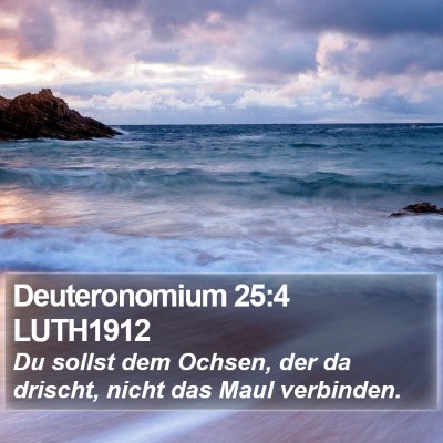 Deuteronomium 25:4 LUTH1912 Bible Verse Image