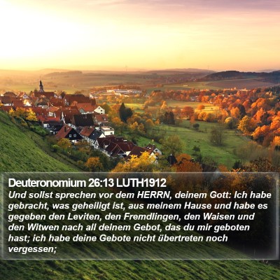 Deuteronomium 26:13 LUTH1912 Bible Verse Image