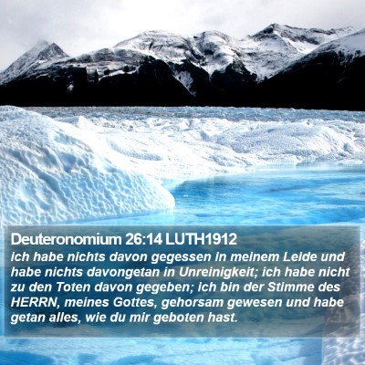 Deuteronomium 26:14 LUTH1912 Bible Verse Image