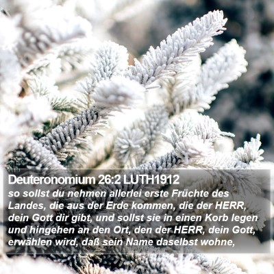 Deuteronomium 26:2 LUTH1912 Bible Verse Image