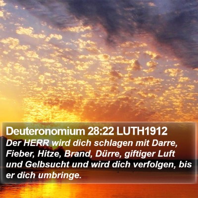 Deuteronomium 28:22 LUTH1912 Bible Verse Image
