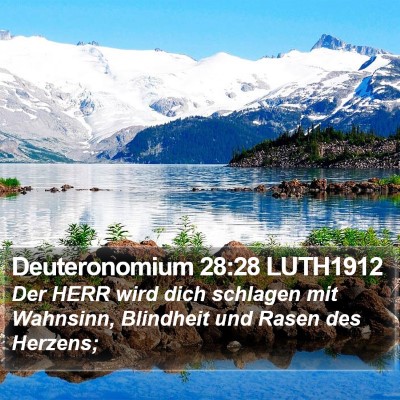 Deuteronomium 28:28 LUTH1912 Bible Verse Image