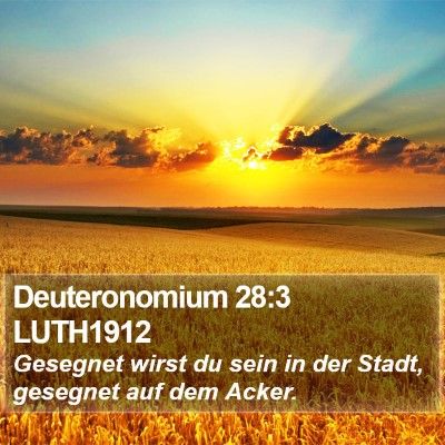 Deuteronomium 28:3 LUTH1912 Bible Verse Image