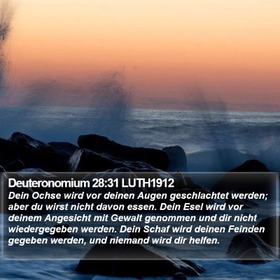 Deuteronomium 28:31 LUTH1912 Bible Verse Image