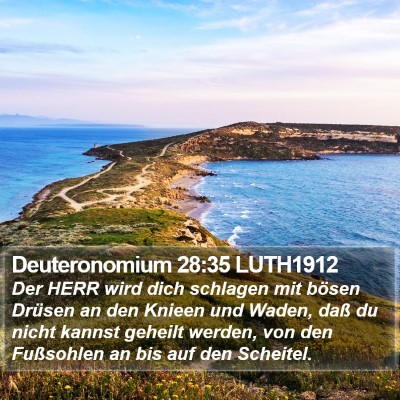 Deuteronomium 28:35 LUTH1912 Bible Verse Image