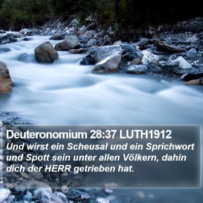Deuteronomium 28:37 LUTH1912 Bible Verse Image