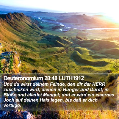Deuteronomium 28:48 LUTH1912 Bible Verse Image