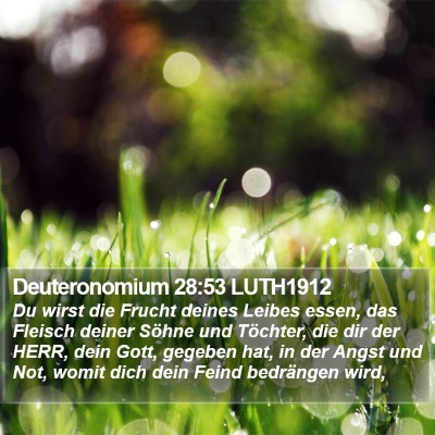 Deuteronomium 28:53 LUTH1912 Bible Verse Image