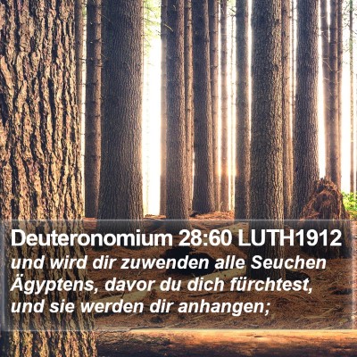 Deuteronomium 28:60 LUTH1912 Bible Verse Image