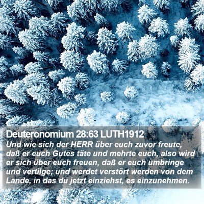 Deuteronomium 28:63 LUTH1912 Bible Verse Image