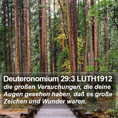 Deuteronomium 29:3 LUTH1912 Bible Verse Image